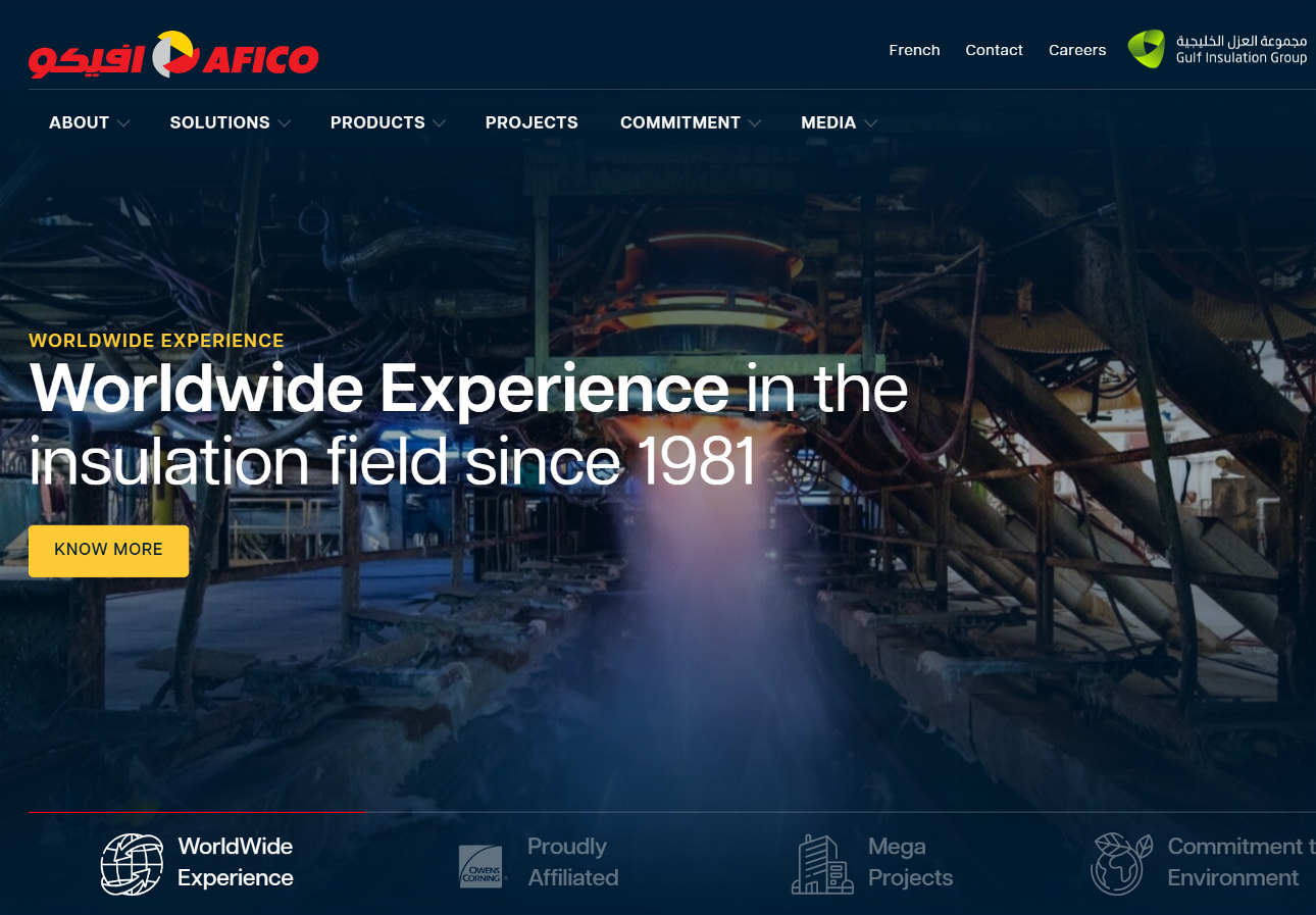 New Website for AFICO